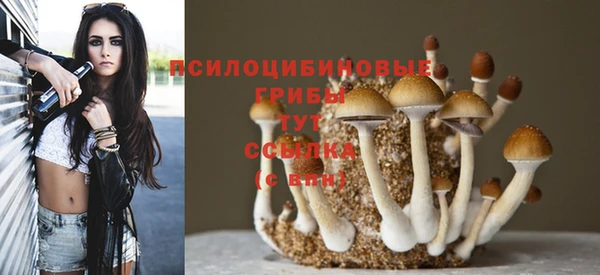гидра Нефтегорск
