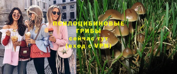 a pvp Армянск