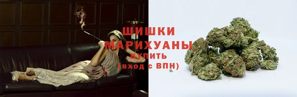 PSILOCYBIN Аркадак
