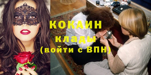 гидра Арсеньев