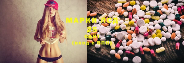 PSILOCYBIN Аркадак