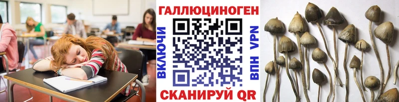 Галлюциногенные грибы MAGIC MUSHROOMS Советск